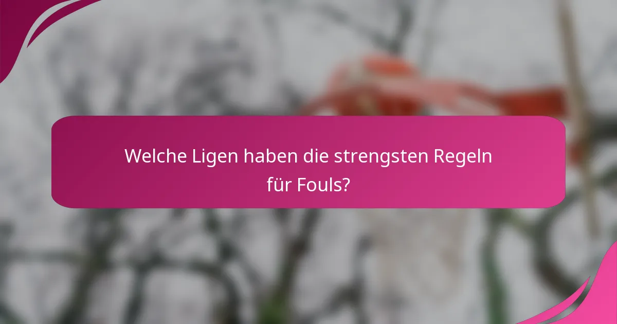 Welche Ligen haben die strengsten Regeln für Fouls?
